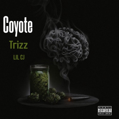 Coyote ft. trizz | Boomplay Music