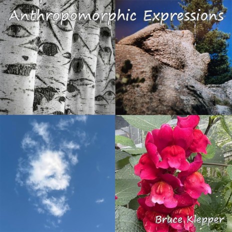 Anthropomorphic Expressions - The Flowers Smile | Boomplay Music