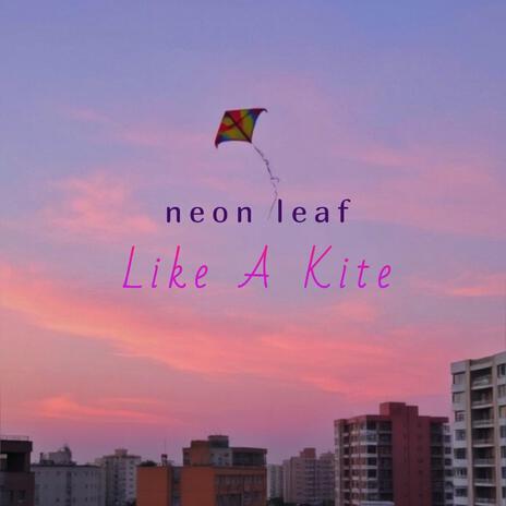 Like A Kite | Boomplay Music