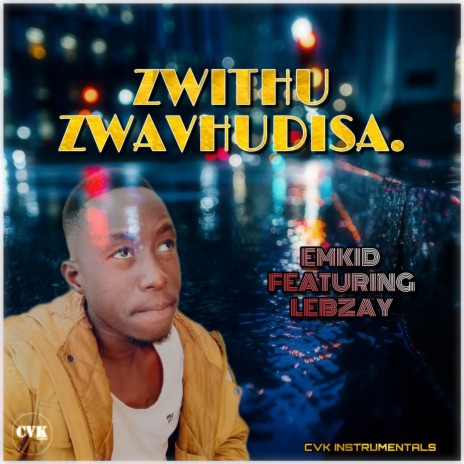 Emkid-Zwithu Zwavhudisa ft. Lebzay | Boomplay Music