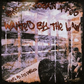 Wanted By The Law