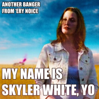 My Name Is Skyler White, Yo