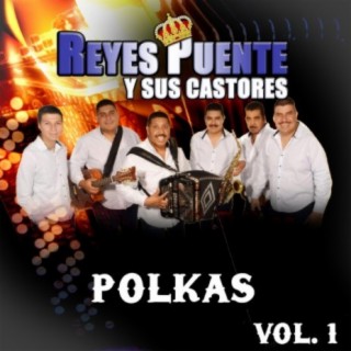 Polkas, Vol. 1