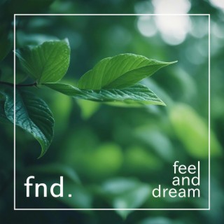 Feel and Dream