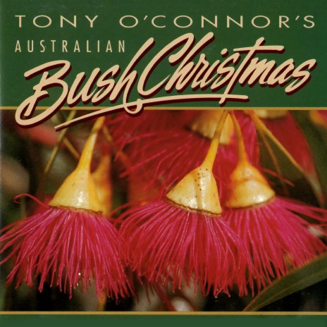 A Christmas Garden | Boomplay Music