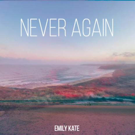 Never Again | Boomplay Music