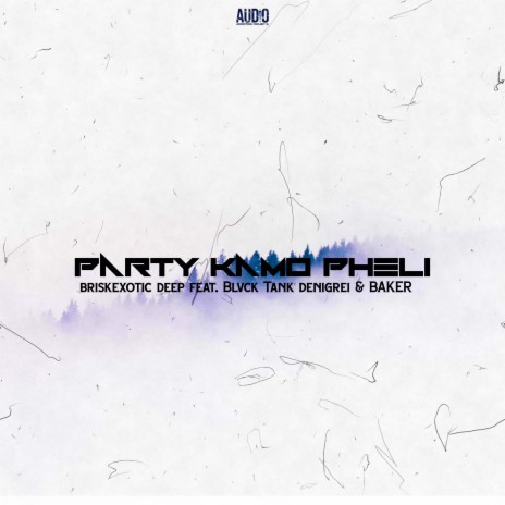 Party Kamo Pheli (Demo) ft. Blvck Tank, Denigrei & Baker | Boomplay Music