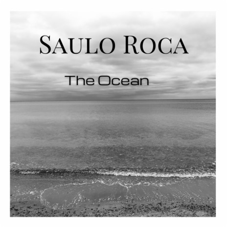 The Ocean ft. Steen Rasmussen | Boomplay Music