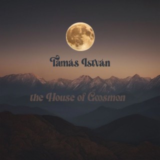 Tamás István ft. Steven Greenman & Olya lyrics | Boomplay Music