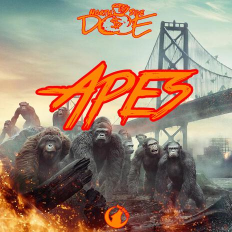 Apes | Boomplay Music