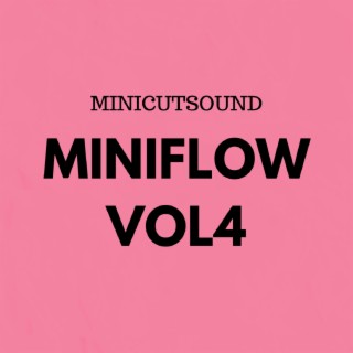 MINIFLOW VOL4