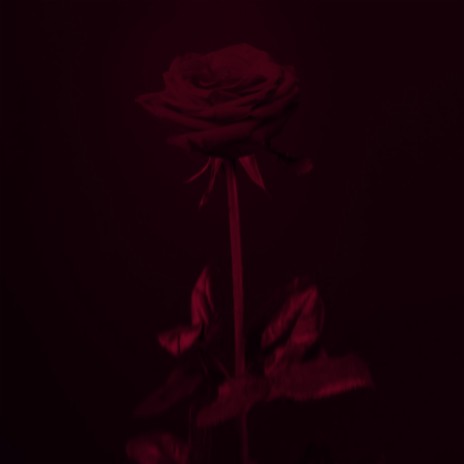 To Any Rose, Be It Known By Name | Boomplay Music