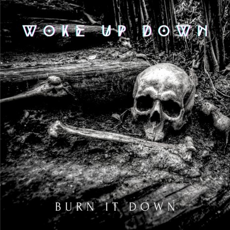 Burn It Down | Boomplay Music