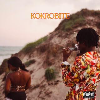 Kokrobite lyrics | Boomplay Music