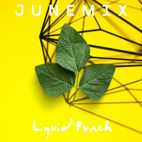 Liquid Punch | Boomplay Music