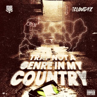 TRAP NOT A GENRE IN MY COUNTRY II