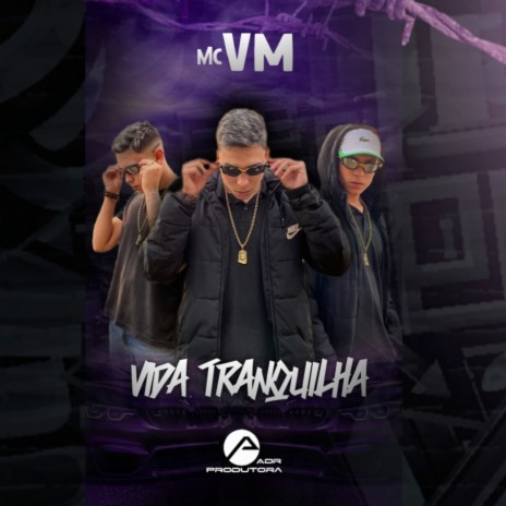 Vida Tranquilha | Boomplay Music