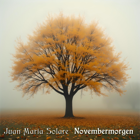 Novembermorgen | Boomplay Music