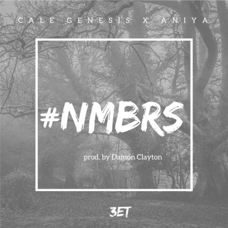 #Nmbrs (feat. Aniya) | Boomplay Music