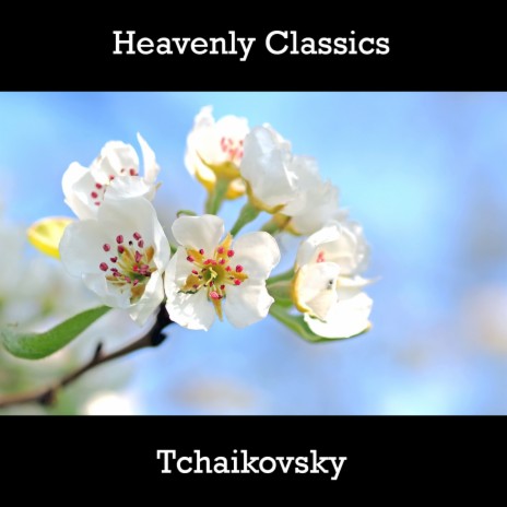 Pyotr Il Yich Tchaikovsky Children S Album 24 Easy Pieces Op 39   Ed131747f55e40e684d262f1a2a8b025 