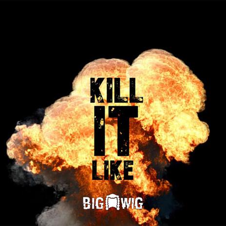 Kill It Like | Boomplay Music