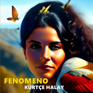 Fenomeno Kürtçe Halay