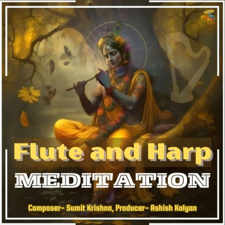 Flute And Harp Meditation | Boomplay Music