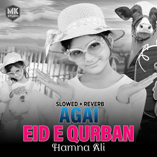 Aagai Eid e Qurban (Lofi-Mix)