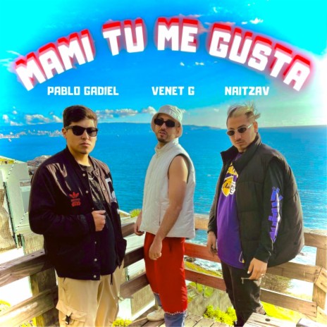 Mami Tu Me Gusta ft. Pablo Gadiel & NAITZAV | Boomplay Music