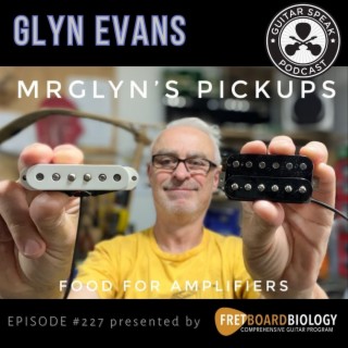 Glyn Evans - Mr Glyns Pickups - GSP #227