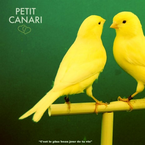 PETIT CANARI | Boomplay Music