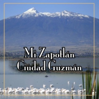 MI ZAPOTLAN CIUDAD GUZMAN