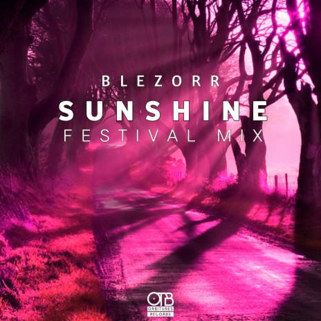 Sunshine (Festival Mix) | Boomplay Music
