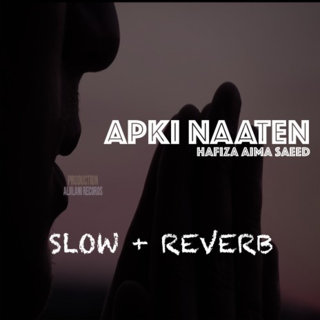 Apki Naaten | Boomplay Music