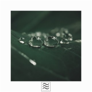 Ambient of Smooth Rain