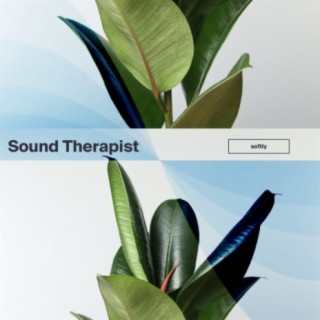 Sound Therapist