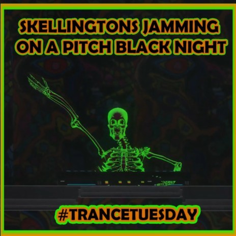 Skellingtons Jamming On A Pitch Black Night