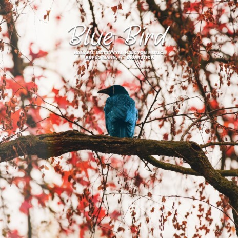 Blue Bird ft. Nanaru & HalcyonMusic | Boomplay Music