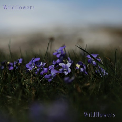 Wildflowers | Boomplay Music