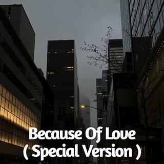 Because Of Love (Special Version)