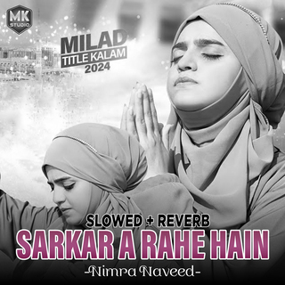 Sarkar A Rahe Hain (Lofi-Mix)