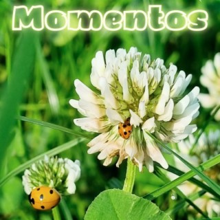 Momentos