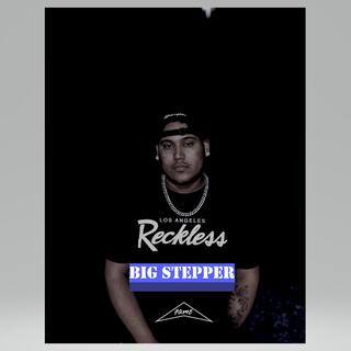 BIG STEPPER