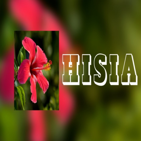 HISIA | Boomplay Music