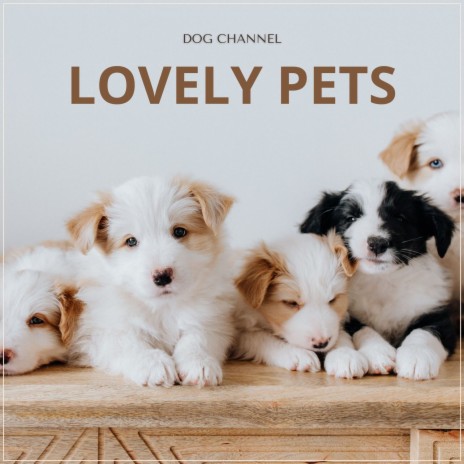 Puppy's Peaceful Tune | Boomplay Music