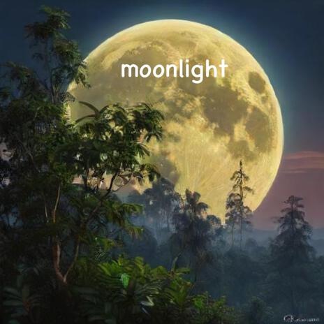 Moonlight | Boomplay Music