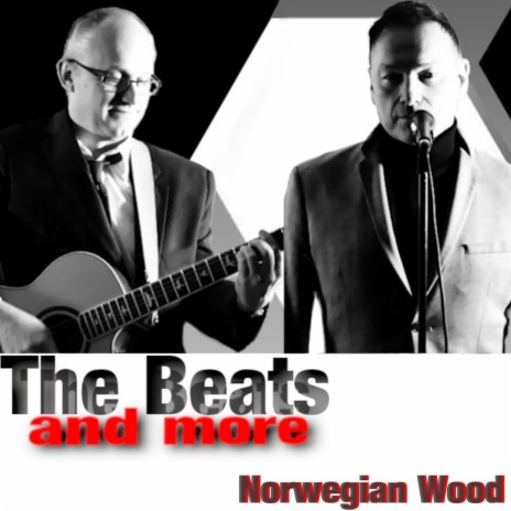 Norwegian wood | Boomplay Music