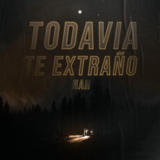 todavia te extraño lyrics | Boomplay Music