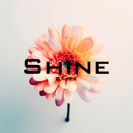 Shine | Boomplay Music