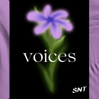 Voices